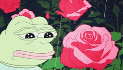 Sad Pepe The Frog Pink Rose Aesthetic GIF