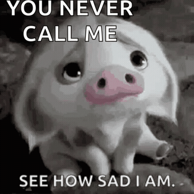 Sad Pig Sitting On Rock Saying You Never Call Me GIF