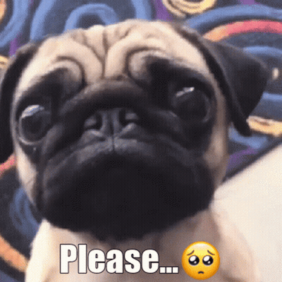 Sad Pug Saying Please GIF