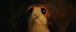 Sad Puppy GIFs