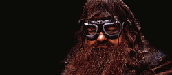 Sad Rubeus Hagrid GIF