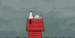 Sad Snoopy In Rain