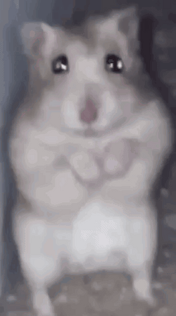 Sad Twinkling Eyes Hampter GIF