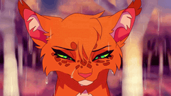 Sad Warrior Cats In The Rain GIF