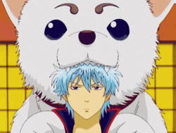 Sadaharu Eating Gintoki Sakata Gintama GIF