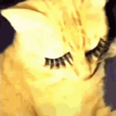 Sadhotgirl GIF