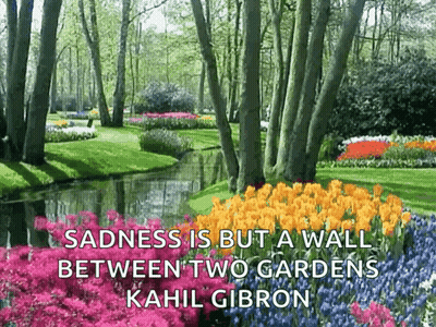 Sadness Is But A Wall Between Two Gardens By Kahlil Gibron GIF
