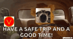Safe Travels GIF