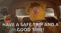Safe Travels Gerbert And Kermit Road Trip GIF