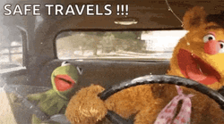Safe Travels Muppets Kermit And Gerbert GIF