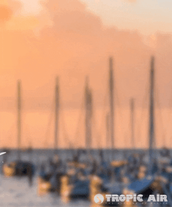 Safe Travels Plane Taking Off GIF