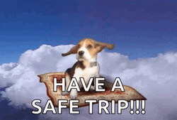 Safe Travels Puppy In Flying Carpet GIF