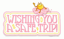 Safe Travels Wishing You Safe Trip GIF