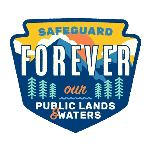 Safeguard Public Lands And Waters Sticker