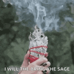 Sage GIF
