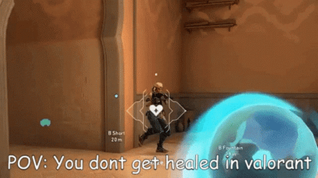 Sage Valorant Meme GIF