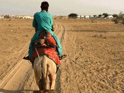 Sahara Desert Camel Riding