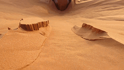 Sahara Desert Digging