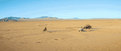 Sahara Desert Driving