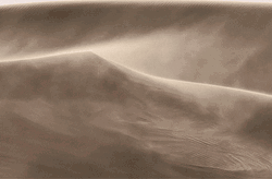 Sahara Desert Dust