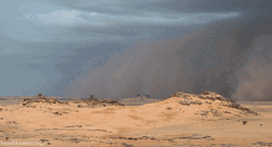Sahara Desert Sandstorm