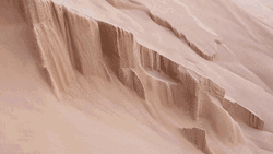 Sahara Drifting Sand