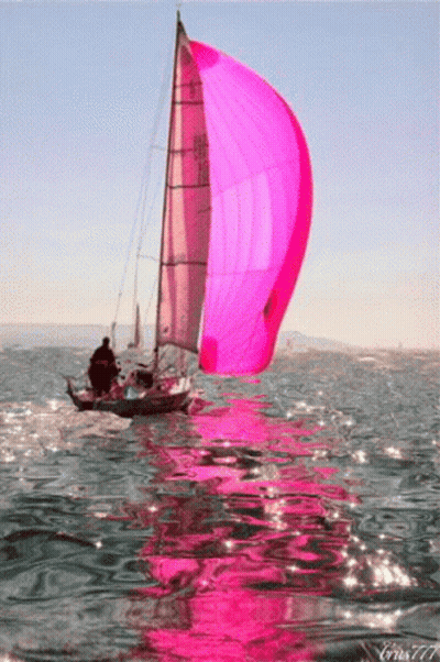 Sailboat With Pink Sail Floating In Ocean GIF