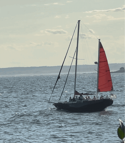 Sailboat With Red Sail Floating GIF
