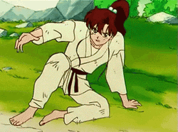 Sailor Jupiter Karate Jumping  GIF