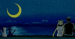 Sailor Moon Tuxedo Mask Under Night Sky