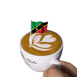 Saint Kitts And Nevis Flag GIF