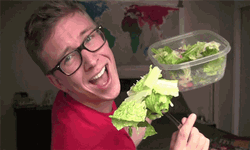 Salad Lettuce Vegan Diet