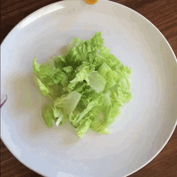 Salad Plate Stop Motion