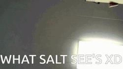 Salt Point Of View GIF