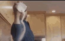 Salty Stephen Golden State Warriors GIF