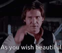Salute As You Wish Harrison Ford GIF