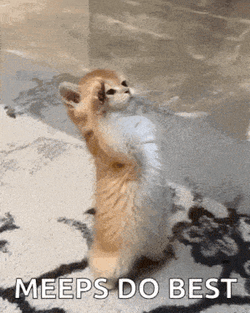 Salute Cat GIF