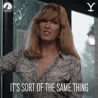 Samesies Yellowstone Same Thing GIF