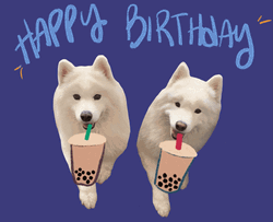 Samoyed Happy Birthday Graphic Design GIF