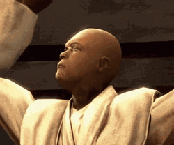 Samuel L Jackson Mace Windu GIF