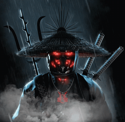 Samurai In Thatched Hat Holding Swords GIF
