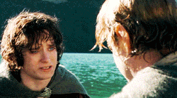 Samwise Gamgee Hugging Frodo Baggins GIF