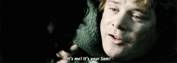 Samwise Gamgee Its Me Lord Of The Rings GIF