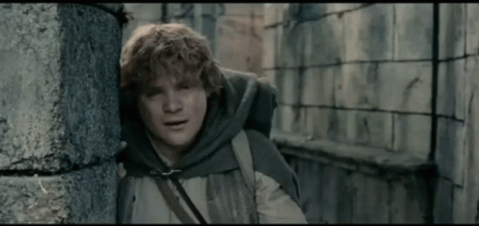 Samwise Gamgee Leaning On Wall GIF
