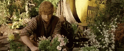 Samwise Gamgee Picking Up Flowers GIF