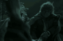 Samwise Gamgee Slapped By Gollum GIF