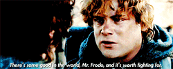 Samwise Gamgee Some Good In The World GIF