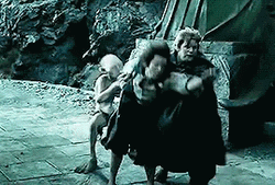 Samwise Gamgee With Frodo Baggins And Gollum GIF