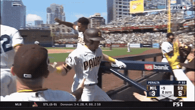 San Diego Padres Baseball Game GIF
