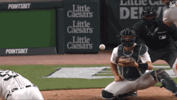 San Francisco Giants Home Run   GIF